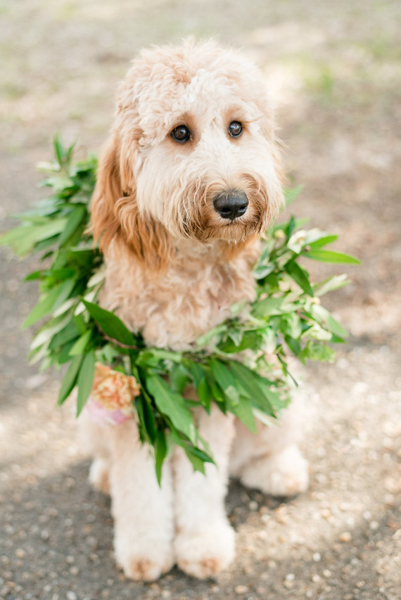 Southern bohemian wedding