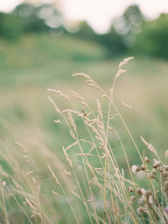 dreamy maternity photos