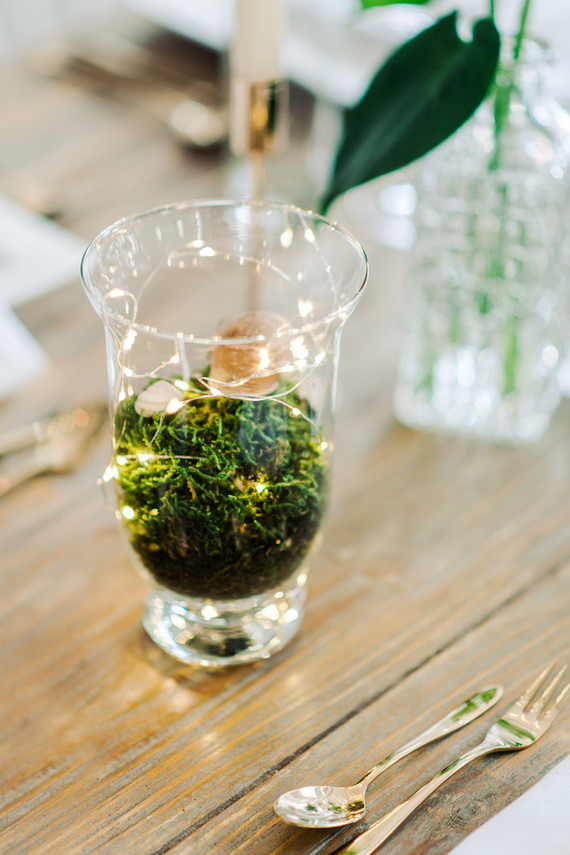 Terrarium decor