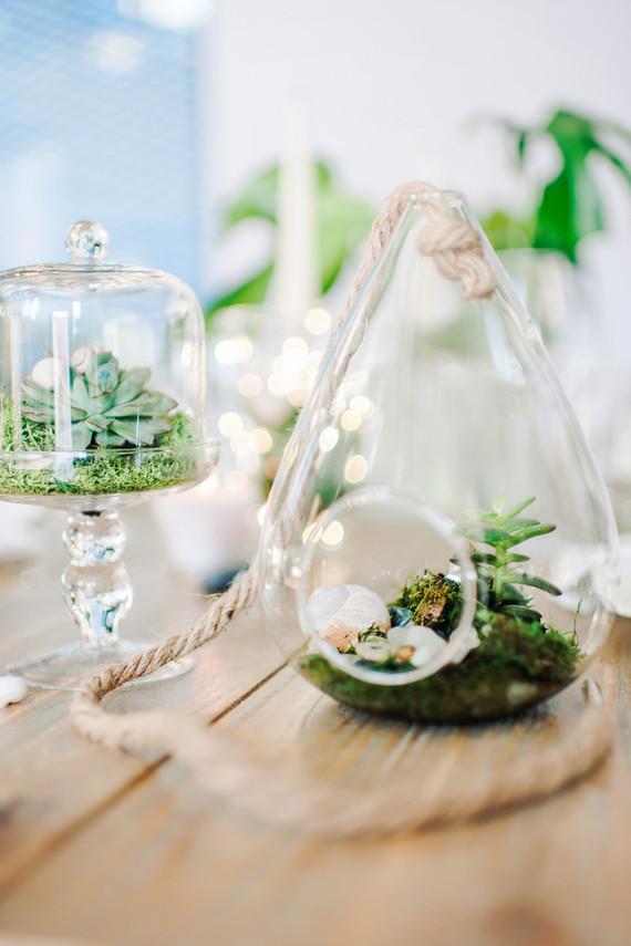 Terrarium decor