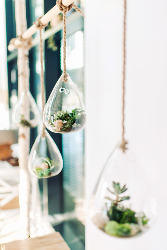 Hanging terrariums