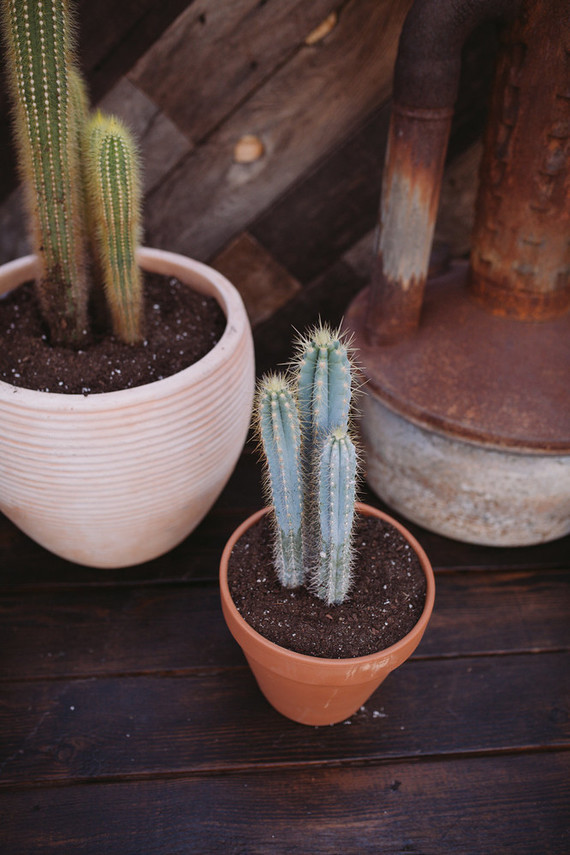 Modern bohemian wedding