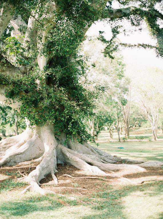 Elegant wedding inspiration at Dillingham Ranch