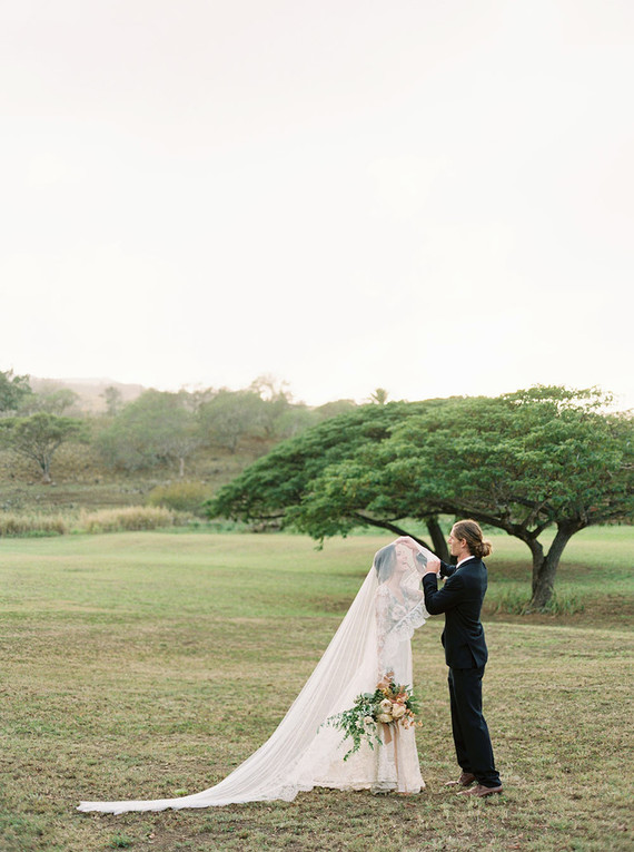 Cathedral veil
