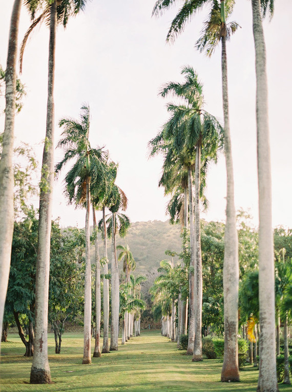 Elegant wedding inspiration at Dillingham Ranch