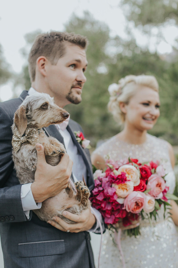 Wedding pup