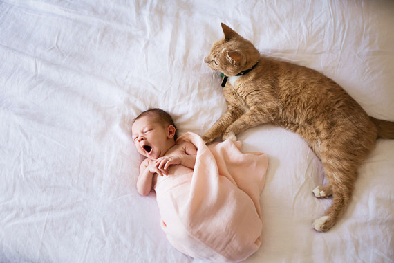 lifestyle newborn photos