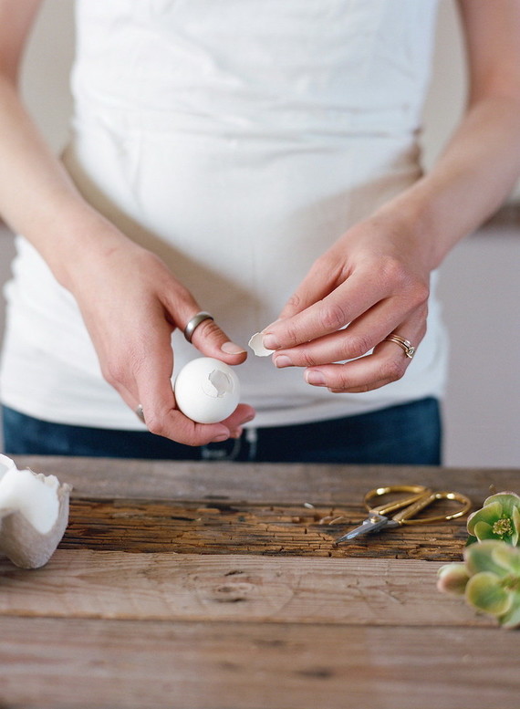 DIY eggshell planters