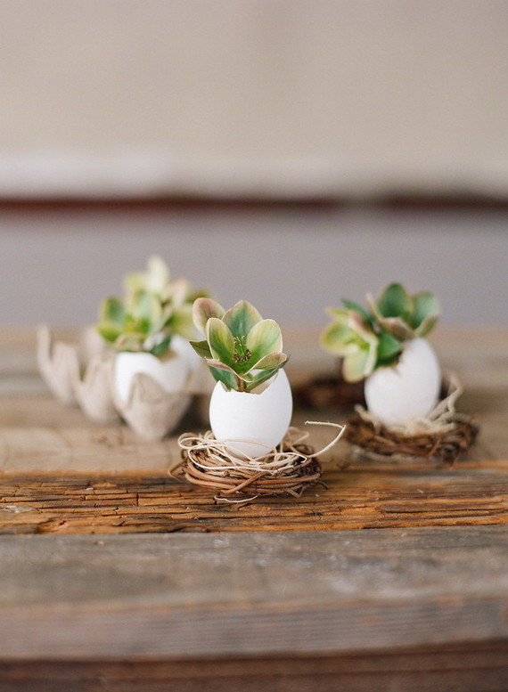 DIY eggshell planters