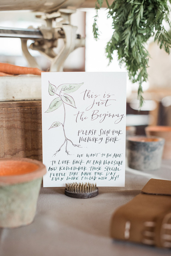 veggie garden baby shower Inspiration