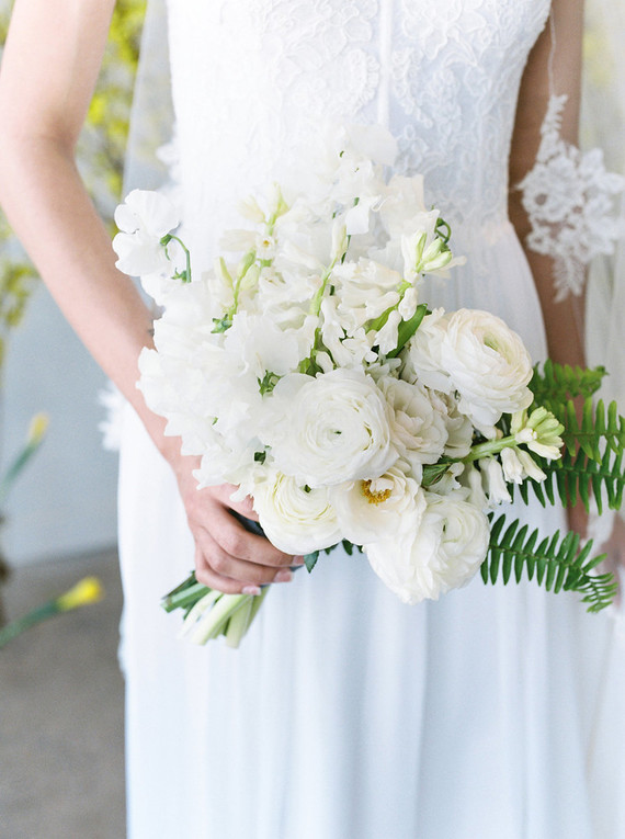 Little White Dress 2017 Spring Lookbook