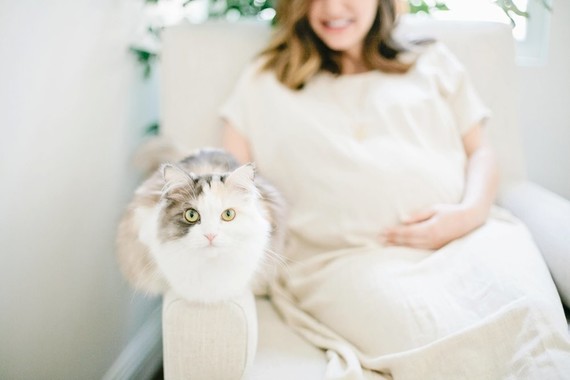 Modern, bright designer nursery by Almost Makes Perfect