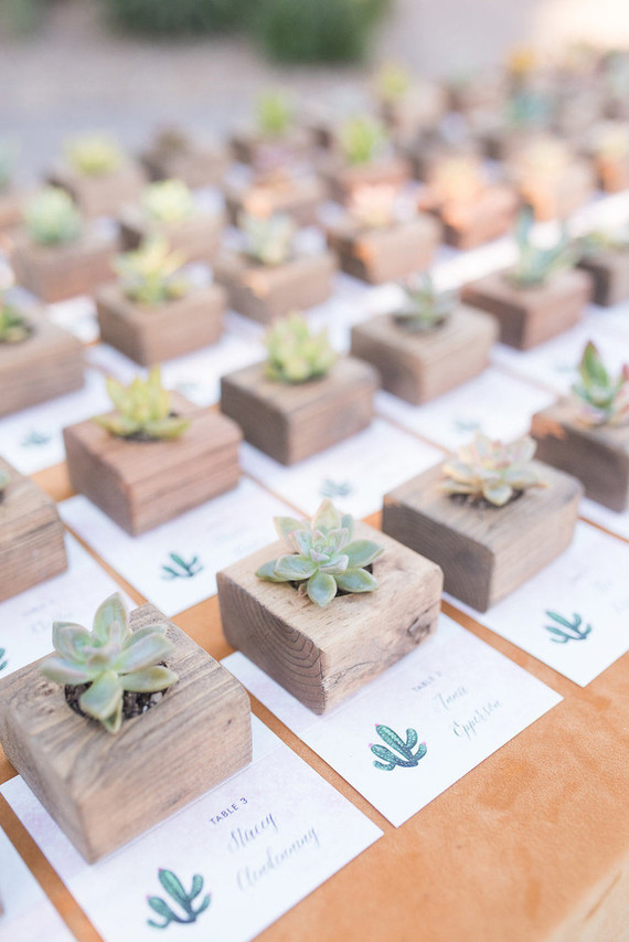 Succulent favors