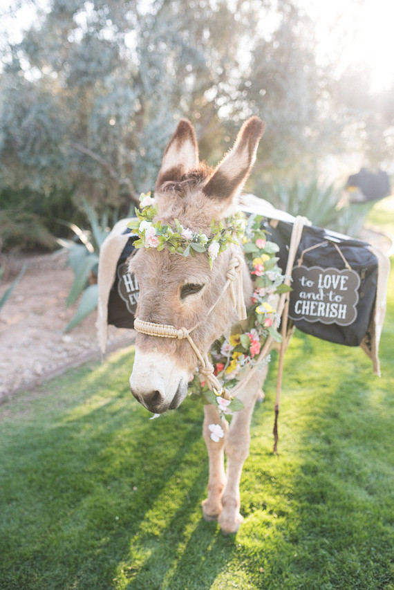 Elegant Desert Dream Wedding Inspiration