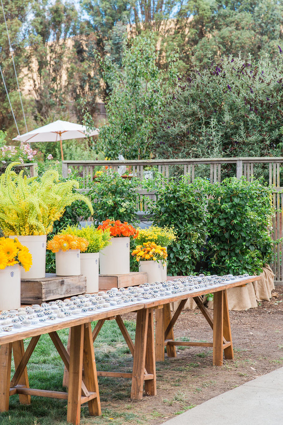 Colorful wedding flowers