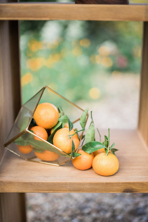 Oranges Inspiration