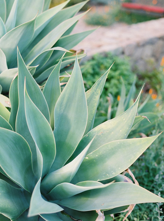 Minimal Rustic ranch wedding inspiration