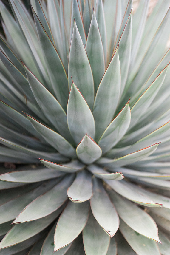 Minimal Rustic ranch wedding inspiration