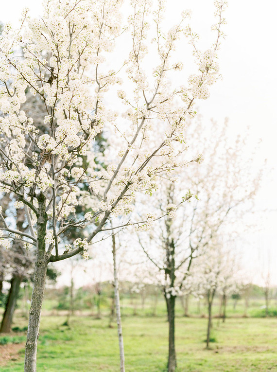 Spring wedding inspiration