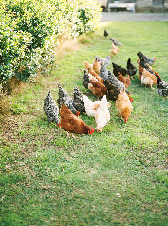 Deer Creek Weddings venue