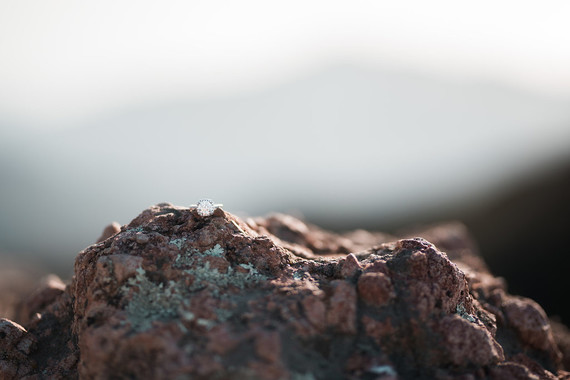 Malibu mountaintop engagement shoot