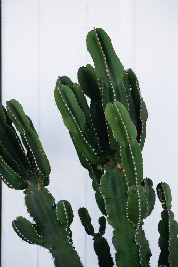 Coffee shop maternity photos