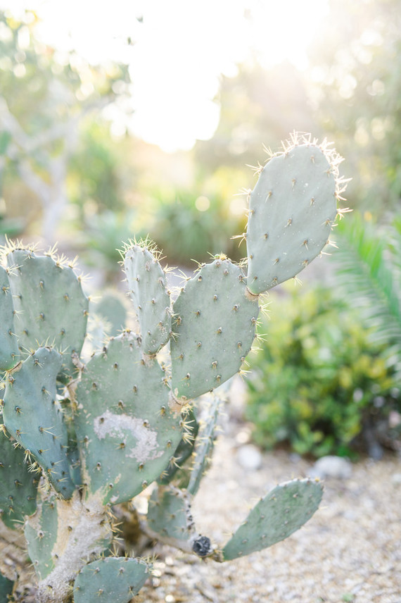 Modern mexican-inspired maternity photos
