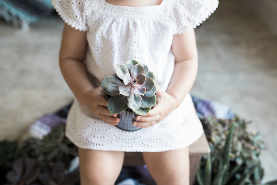 Fiesta taco party 2nd birthday