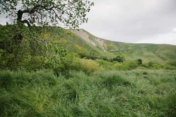 Family photos at Wind Wolves Preserve