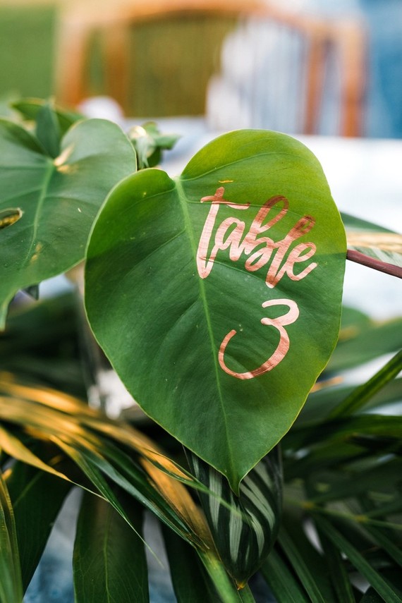 Tropical table numbers Inspiration