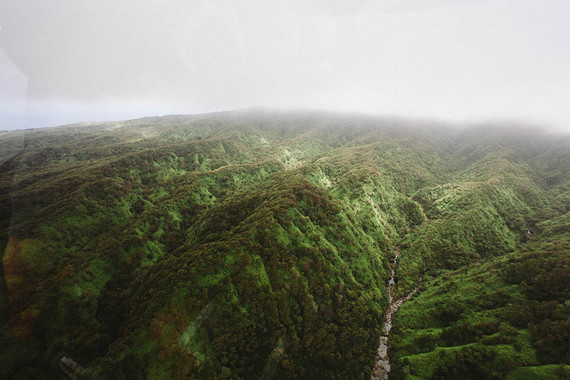 Montage Kapalua