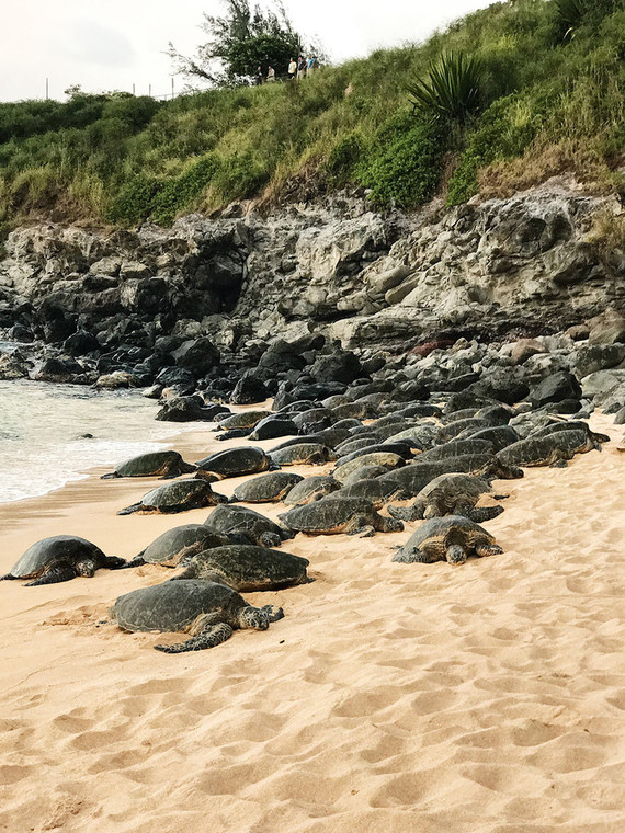 Maui, Hawaii