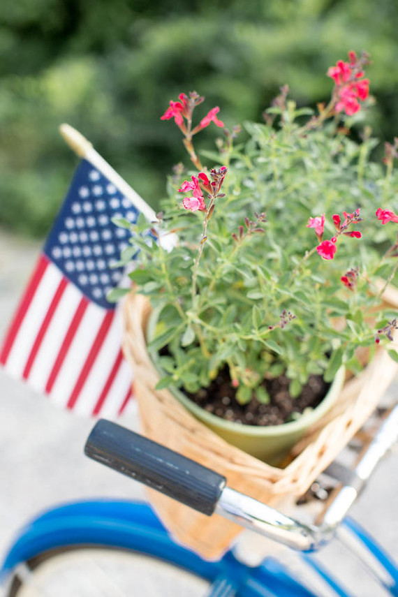 4th of July kids styled shoot