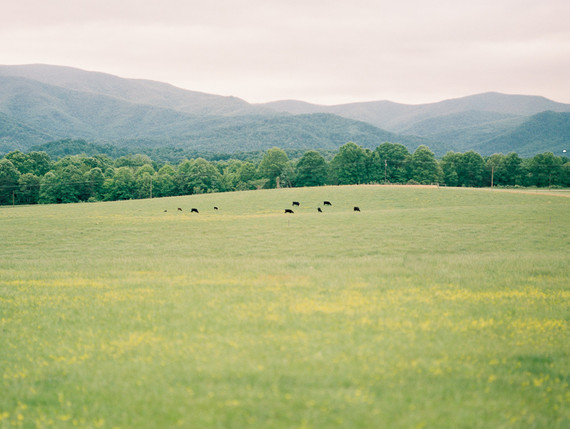 Meadow maternity photos