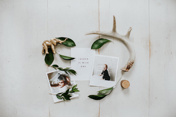 Wild One first birthday party