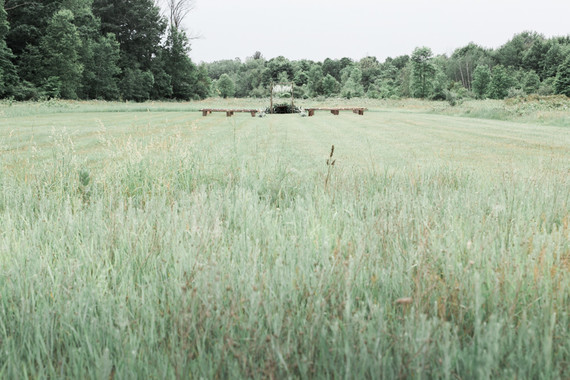 Earthy summer wedding in Michigan