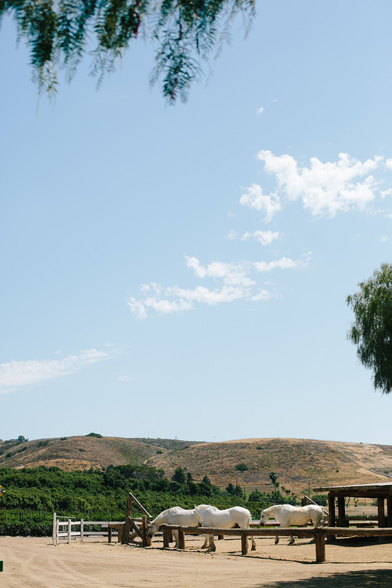 Olivia the Pig second birthday party