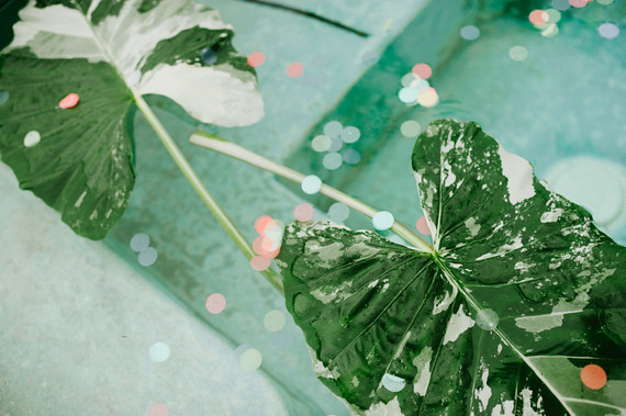 Surf birthday party ideas