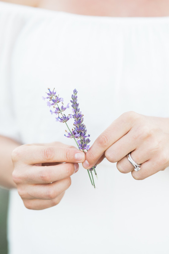 Lavender field maternity photos