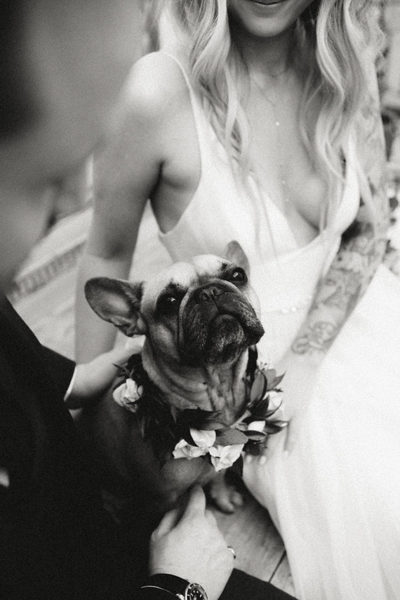 rock and roll backyard wedding