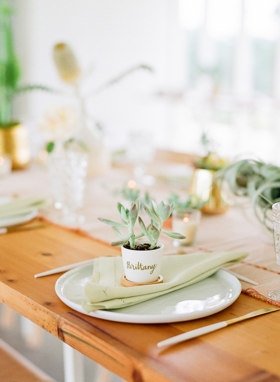 Cactus baby shower