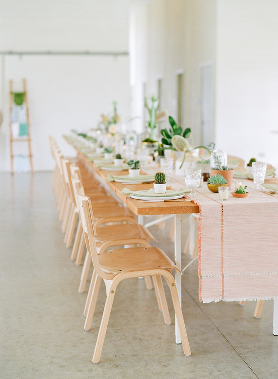 Cactus baby shower
