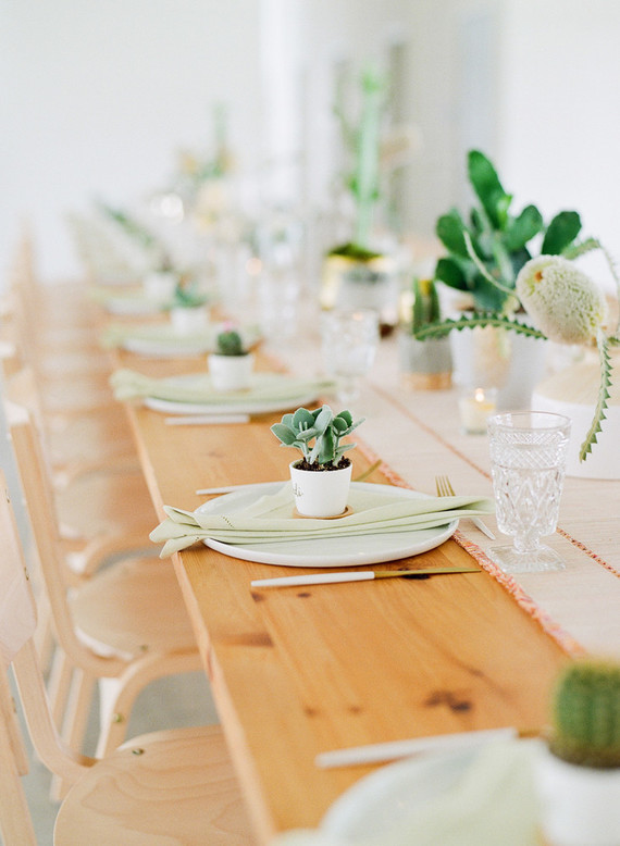 Cactus baby shower
