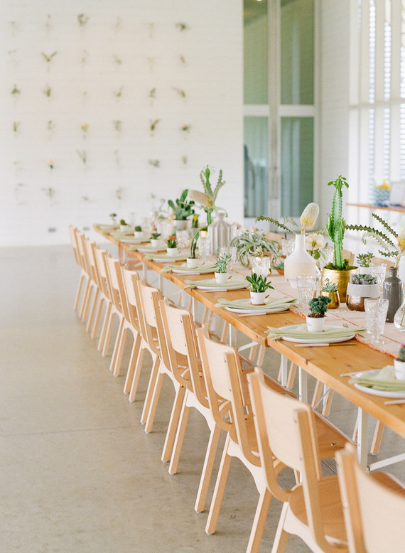 Cactus baby shower