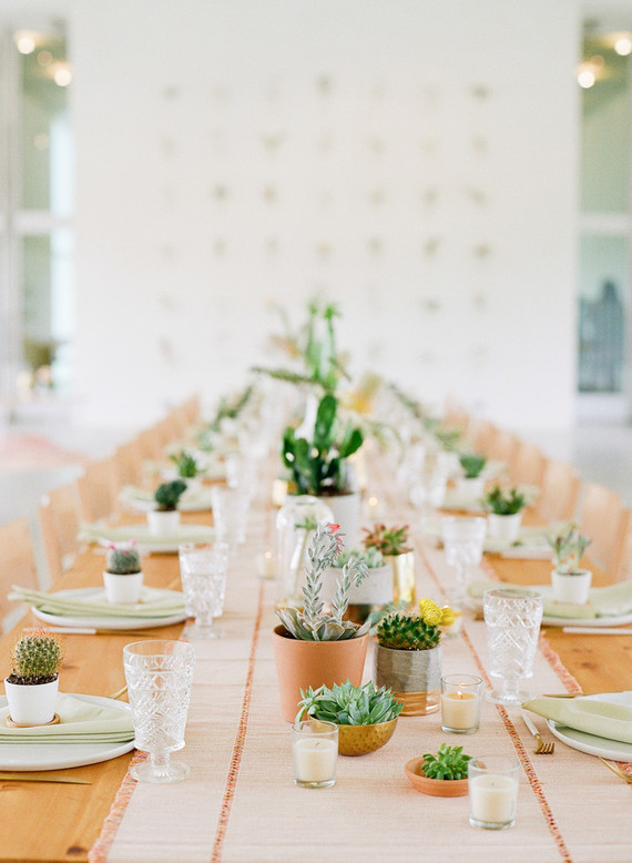 Cactus baby shower