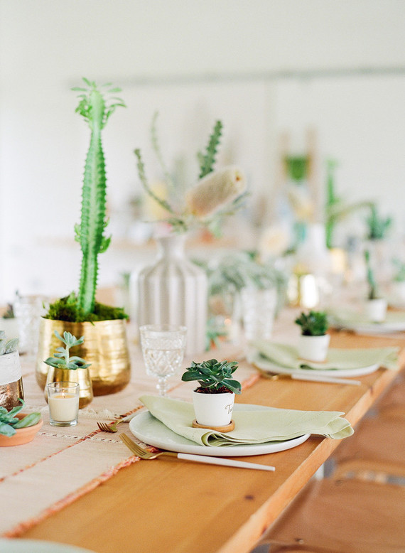 Cactus baby shower