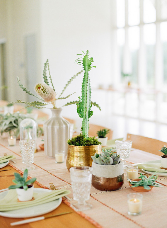 Cactus baby shower