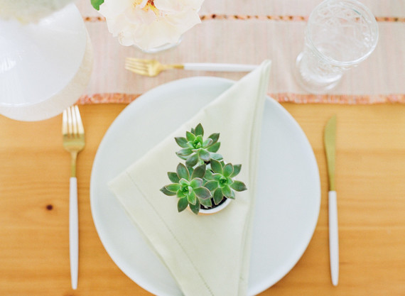 Cactus baby shower