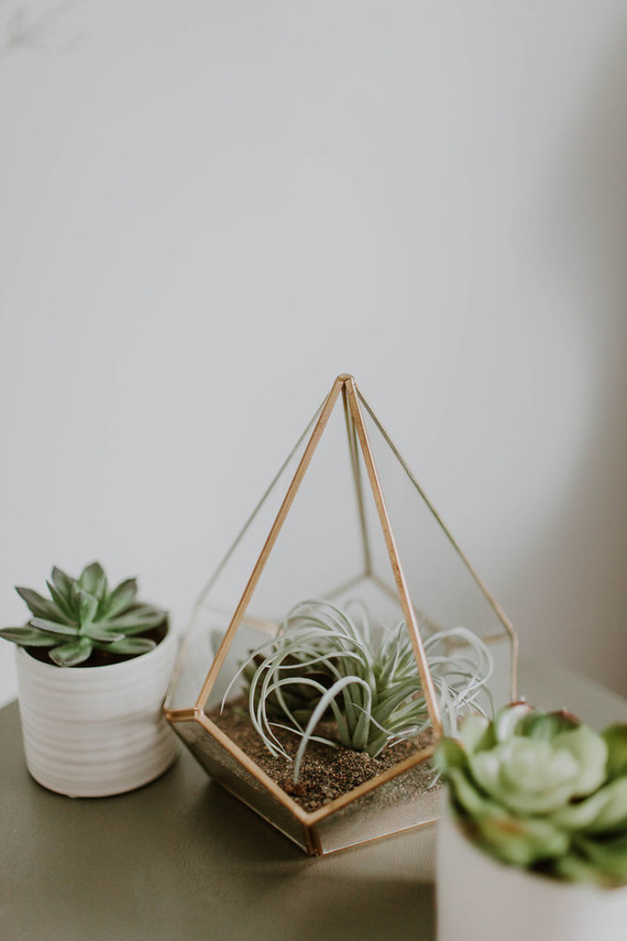 cactus inspired nursery Inspiration