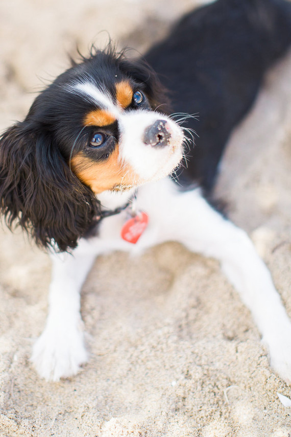 Ro and Co Event Design